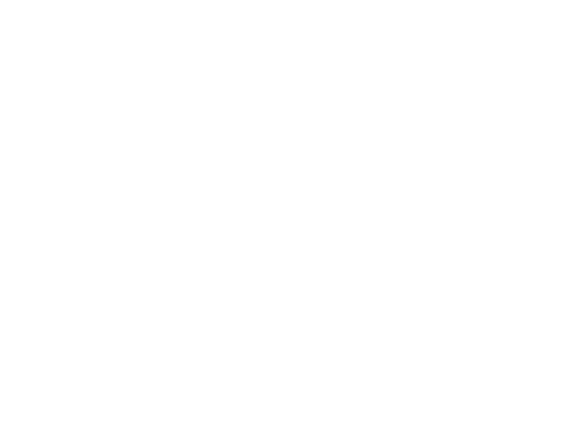 RSX Travel